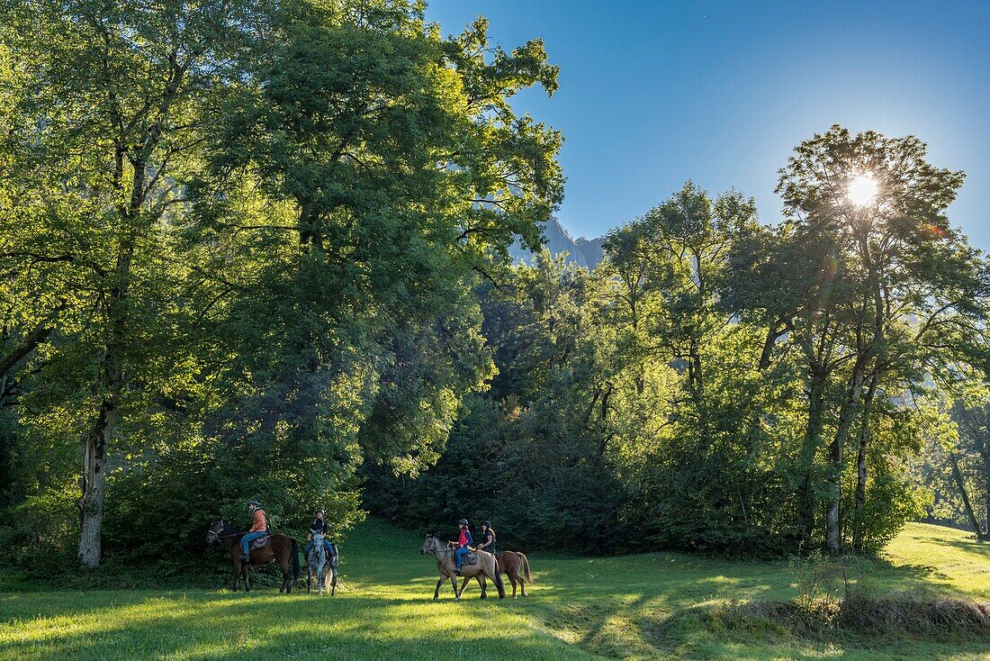 France,Haute Savoie,Mieussy,horse riding along the Giffre from Sommand,in the meadows of Jourdy