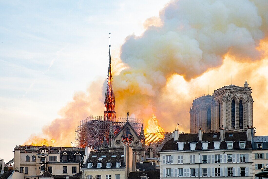 Frankreich,Paris,Weltkulturerbe der UNESCO,Ile de la Cite,Kathedrale Notre-Dame,Großbrand der Kathedrale am 15.04.2019