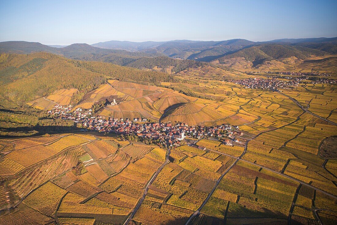 France,Haut Rhin,Alsace Wine Route,Katzenthal,Saint Nicolas church,Wineck castle,vineyard (aerial view)