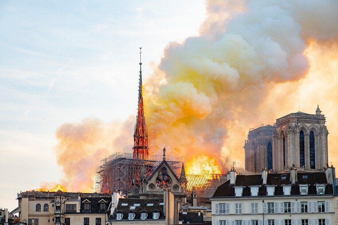 Frankreich,Paris,Gebiet, das von der UNESCO zum Weltkulturerbe erklärt wurde,Ile de la Cite,Kathedrale Notre-Dame,das große Feuer, das die Kathedrale am 15. April 2019 verwüstete