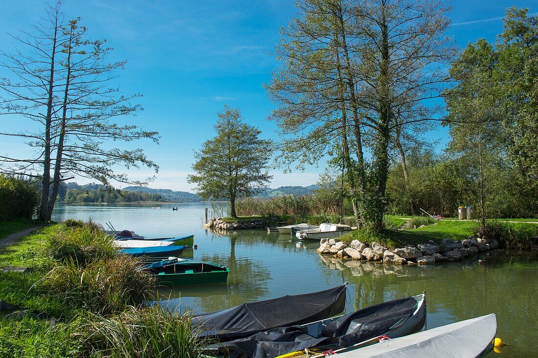 France,Savoie,Lake Aiguebelette,the fishing port with exclusively electric boats