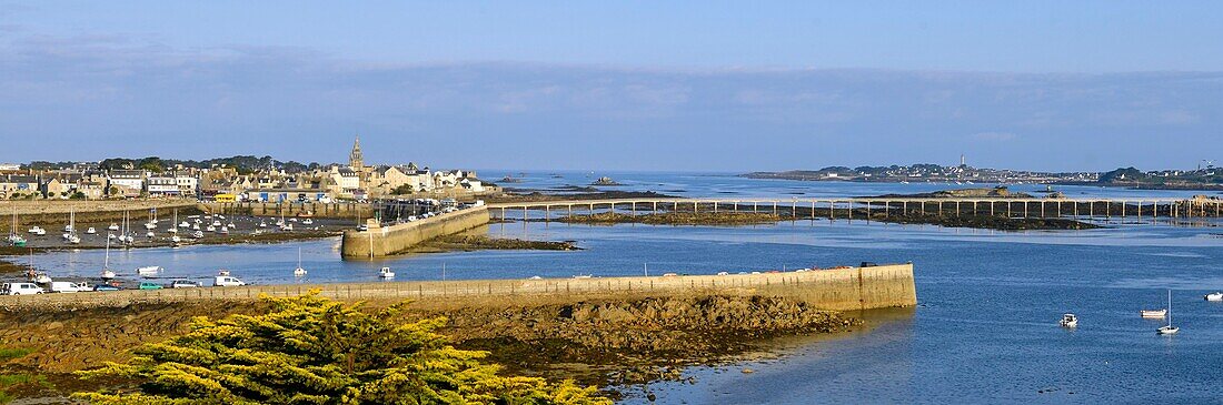 France,Finistere,Roscoff,harbour with the clocktower (1701) of Notre-Dame de Croaz Batz church