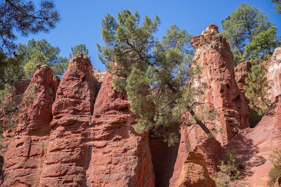 France,Vaucluse,Luberon Regional Natural Park,Roussillon,labeled the Most Beautiful Villages of France,the Sentier des Ocres,the needles cirque