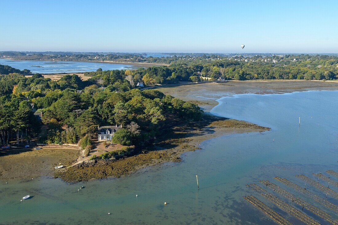 France,Morbihan,Ile-aux-Moines,aerial view of the Gulf of Morbihan and Monk island