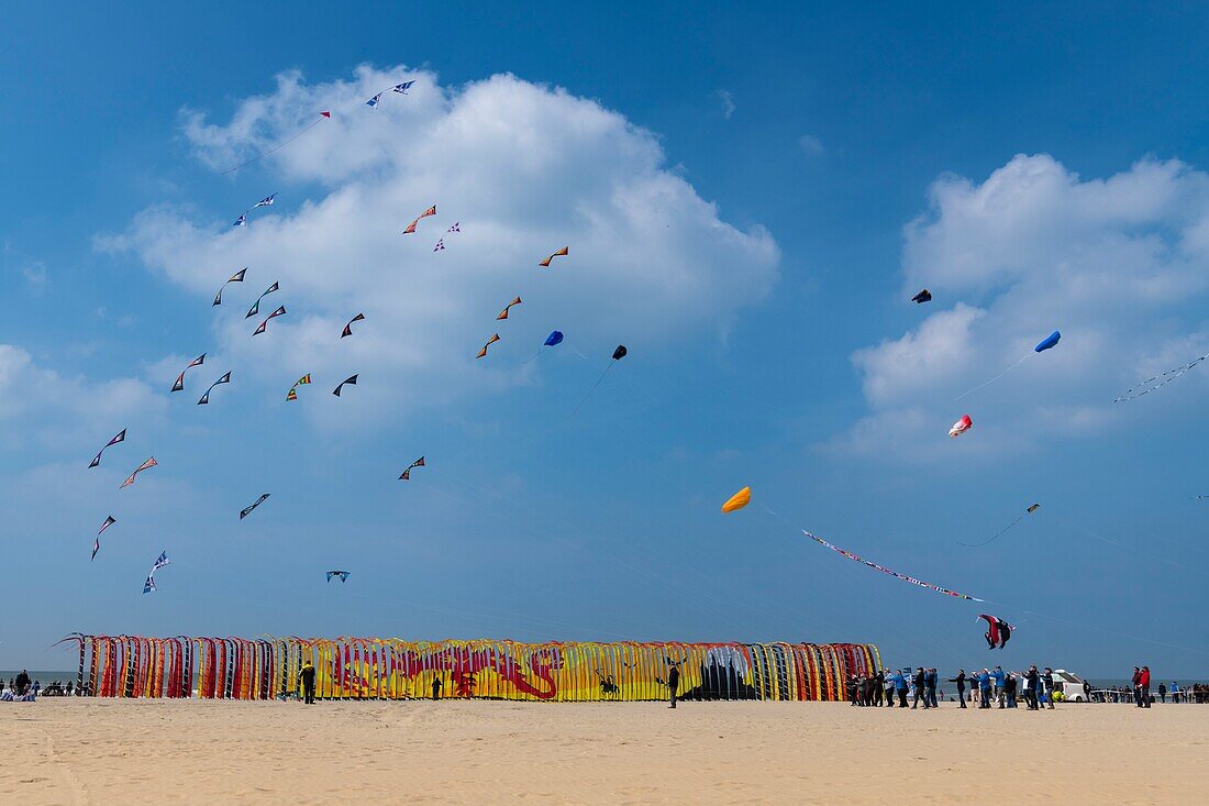 France,Pas de Calais,Opale Coast,Berck sur Mer,Berck sur Mer International Kite Meetings,during 9 days the city welcomes 500 kites from all over the world for one of the most important kite events in the world