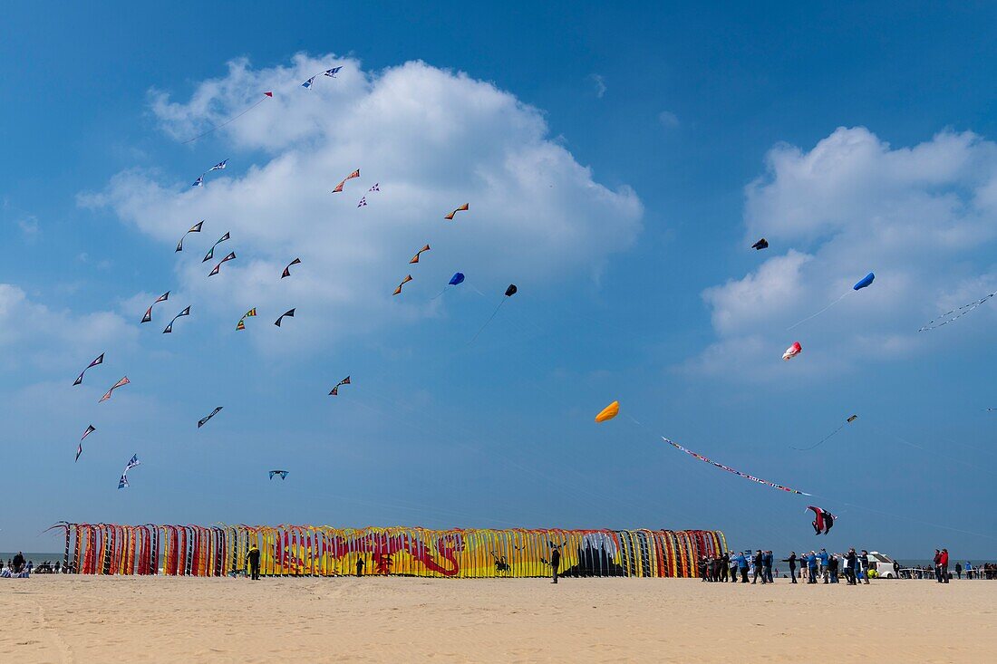 Frankreich,Pas de Calais,Opale Küste,Berck sur Mer,Berck sur Mer Internationales Drachentreffen,9 Tage lang empfängt die Stadt 500 Drachen aus der ganzen Welt zu einem der wichtigsten Drachentreffen der Welt