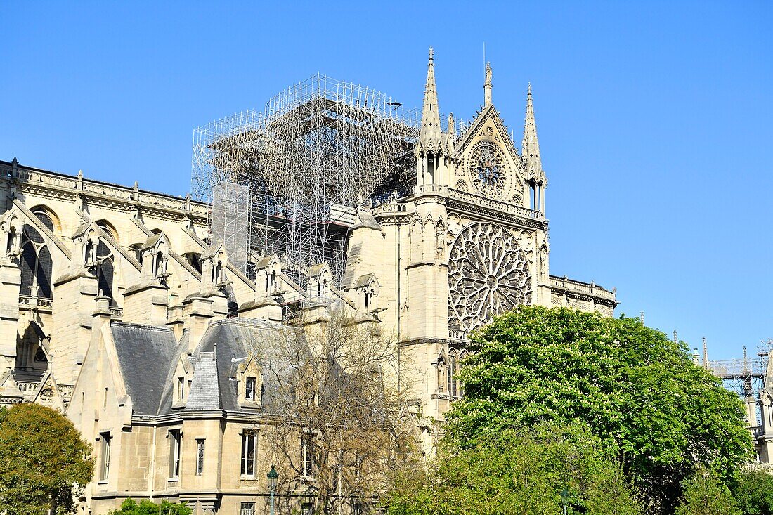 Frankreich,Paris,Ufer der Seine,Weltkulturerbe der UNESCO,Ile de la Cite,Kathedrale Notre Dame nach dem Brand vom 15. April 2019