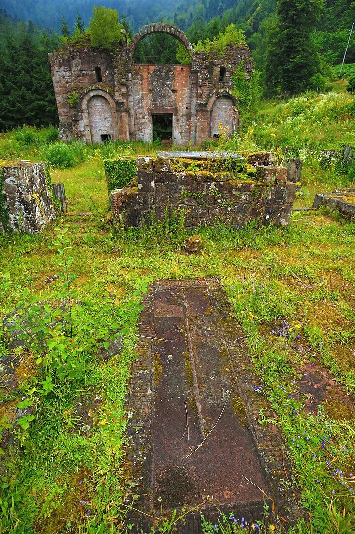 France,Bas Rhin,Ottrott,The Sainte Marie abbey of Niedermunster located at 511 meters above sea level,at the foot of Mont Sainte Odile was founded by St,Odile around 700 to accommodate pilgrims who could not access that of Mount Sainte Odile