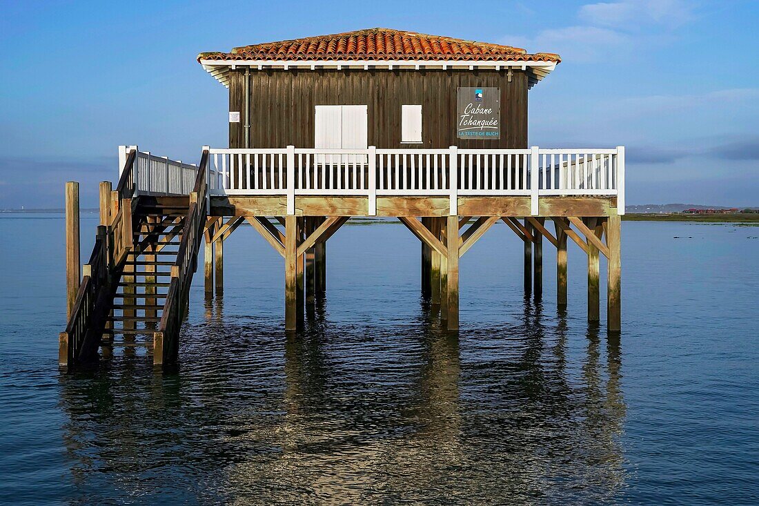 France,Gironde,Bassin d'Arcachon,La Teste de Buch,Ile aux Oiseaux,the Tchanques huts