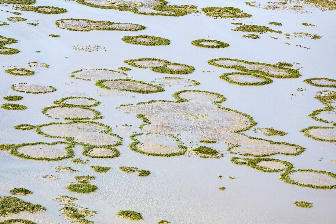 France,Charente Maritime,Ile d'Oleron,Saint Pierre d'Oleron,marshes,Tannes de Fort Royer (aerial view)