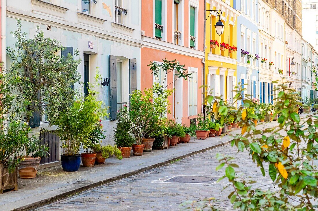 France,Paris,district of Quinze Vingts,rue Cremieux is a pedestrian and paved street,lined with small pavilions with colorful facades