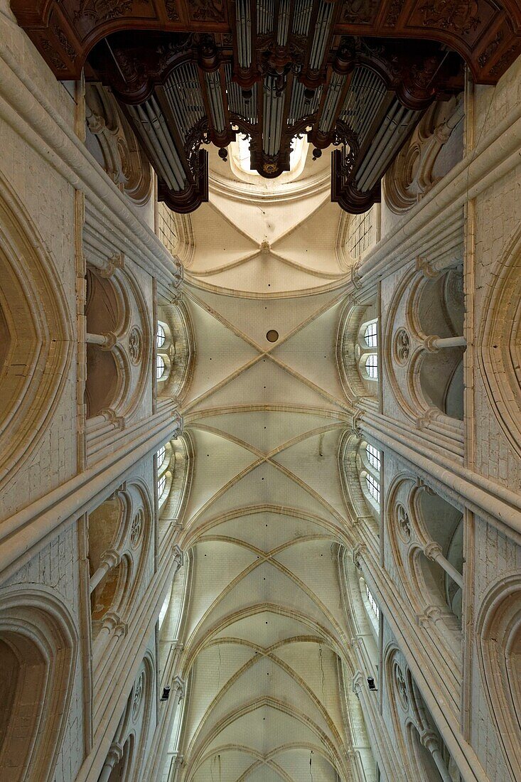 France,Seine Maritime,Pays de Caux,Cote d'Albatre (Alabaster Coast),Fecamp,abbatiale de la Sainte Trinite (abbey church of the Holy Trinity)