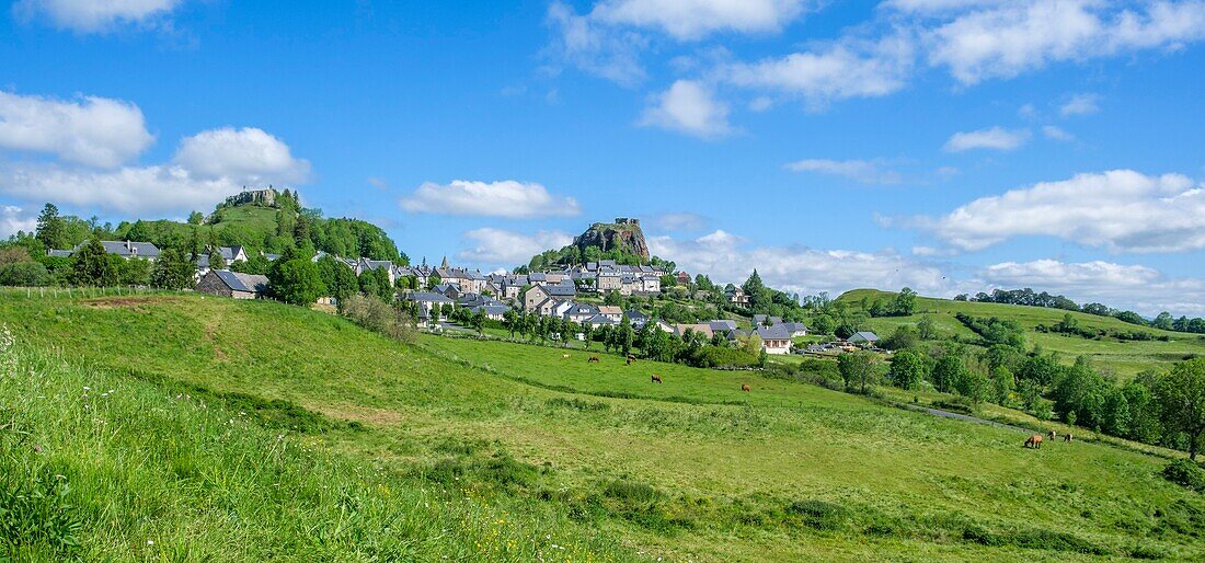 France,Cantal,Regional Natural Park of the Auvergne Volcanoes,monts du Cantal (Cantal mounts),vallee de Cheylade (Cheylade valley),Apchon,the village and the castle ruins located on top of a basaltic dyke