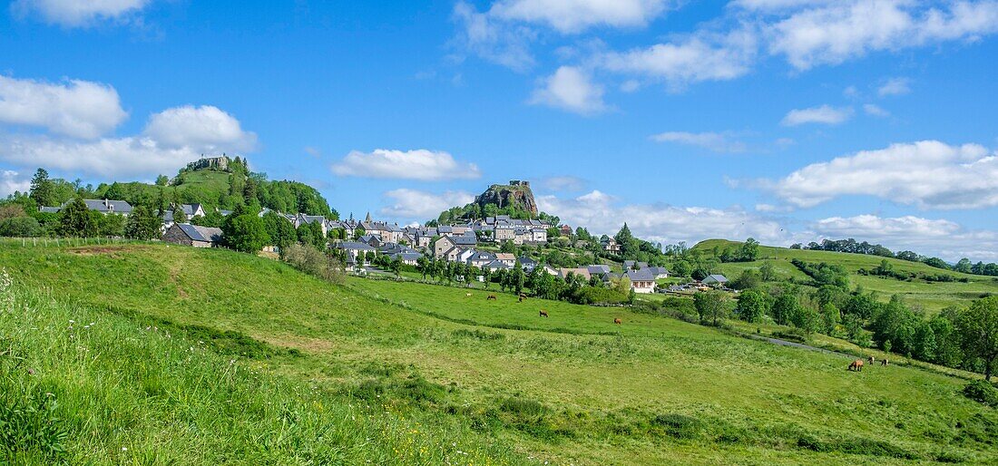 Frankreich,Cantal,Regionaler Naturpark der Vulkane der Auvergne,monts du Cantal (Cantal-Berge),vallee de Cheylade (Cheylade-Tal),Apchon,das Dorf und die Burgruine auf einem Basaltdamm