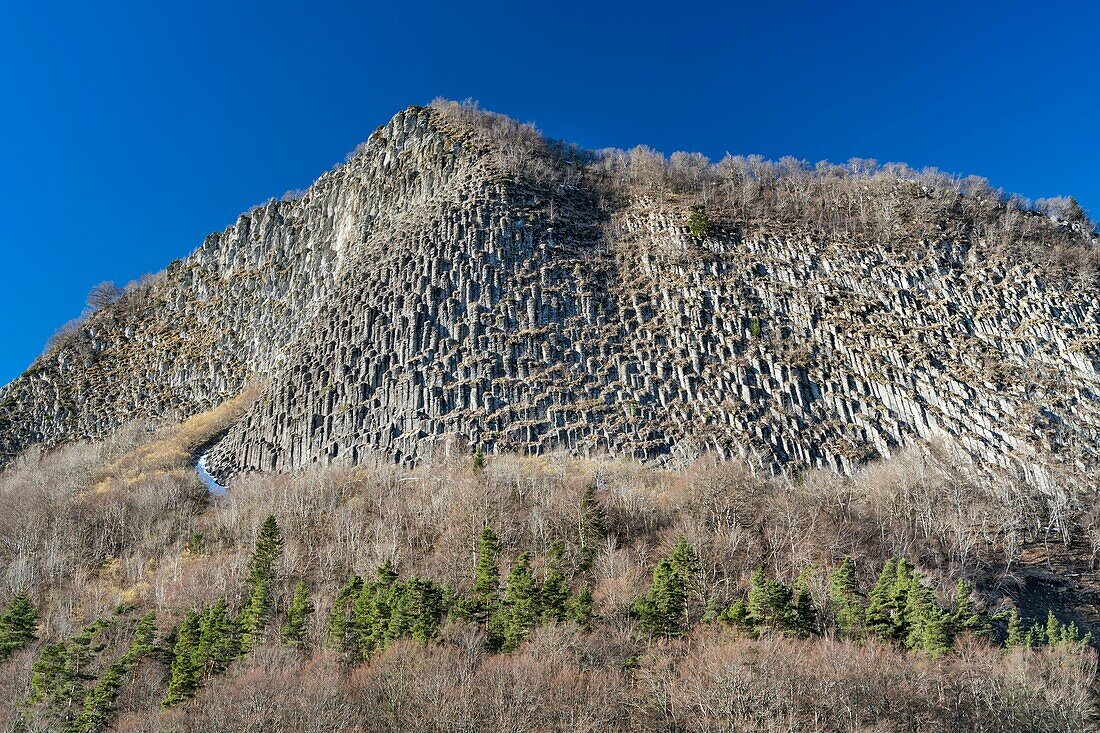 France,Puy de Dome,Orcival,Regional Natural Park of the Auvergne Volcanoes,Monts Dore,Tuiliere rock,volcanic pipe formed phonolite