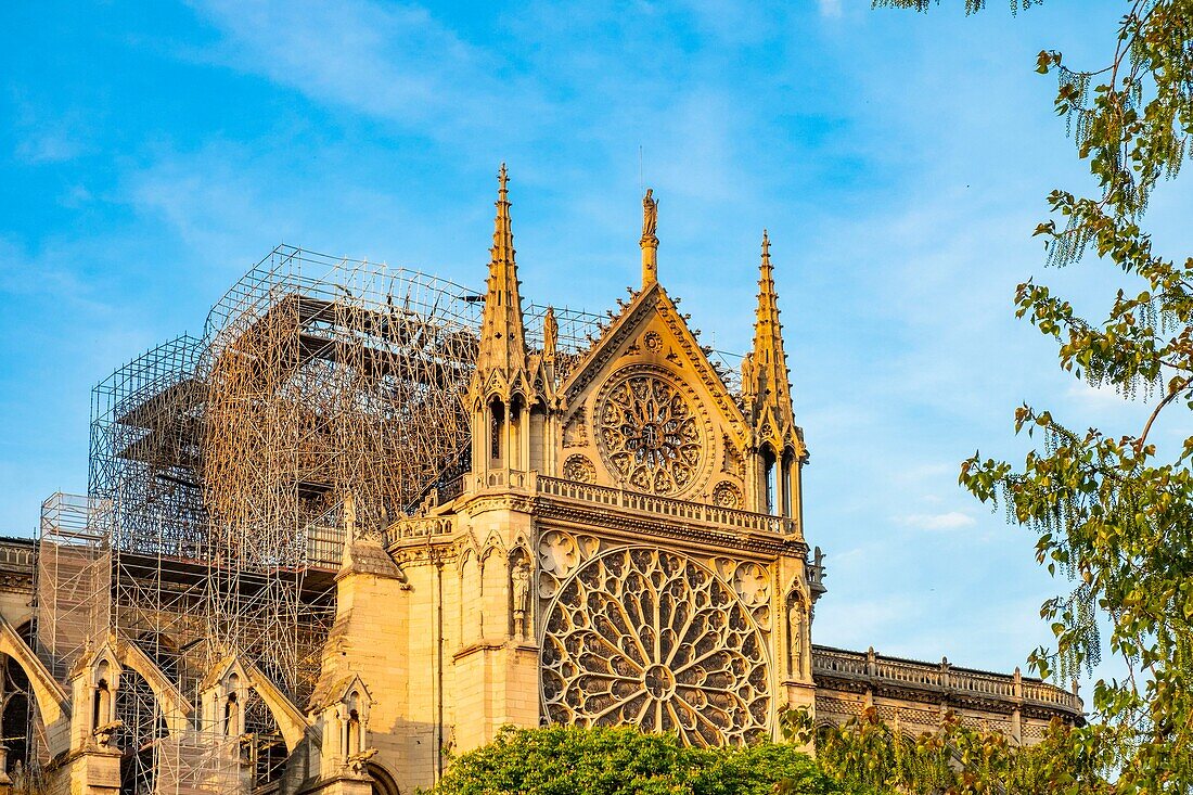 France,Paris,area listed as World Heritage by UNESCO,Ile de la Cite,Notre Dame Cathedral after the fire of April 15,2019