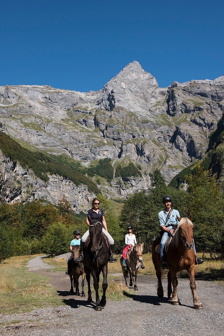France,Haute Savoie,Sixt Fer a Cheval,equestrian trek in the Circus du Fer a Cheval towards the end of the world to the cascade of La Gouille and the head of the Ottans (2549m)