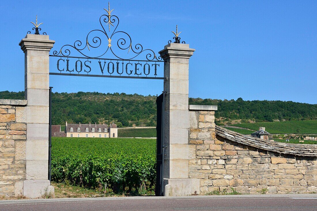 Frankreich,Cote d'Or,Burgunder Klima, von der UNESCO zum Weltkulturerbe erklärt,Cote de Nuits,Weinberge in Clos Vougeot,Tor in der Abenddämmerung (Burgund)