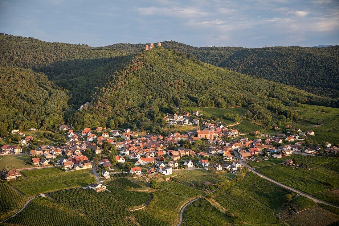 Frankreich,Haut Rhin,Elsässer Weinstraße,in der Nähe des Dorfes Eguisheim,Husseren les Chateaux (Luftaufnahme)