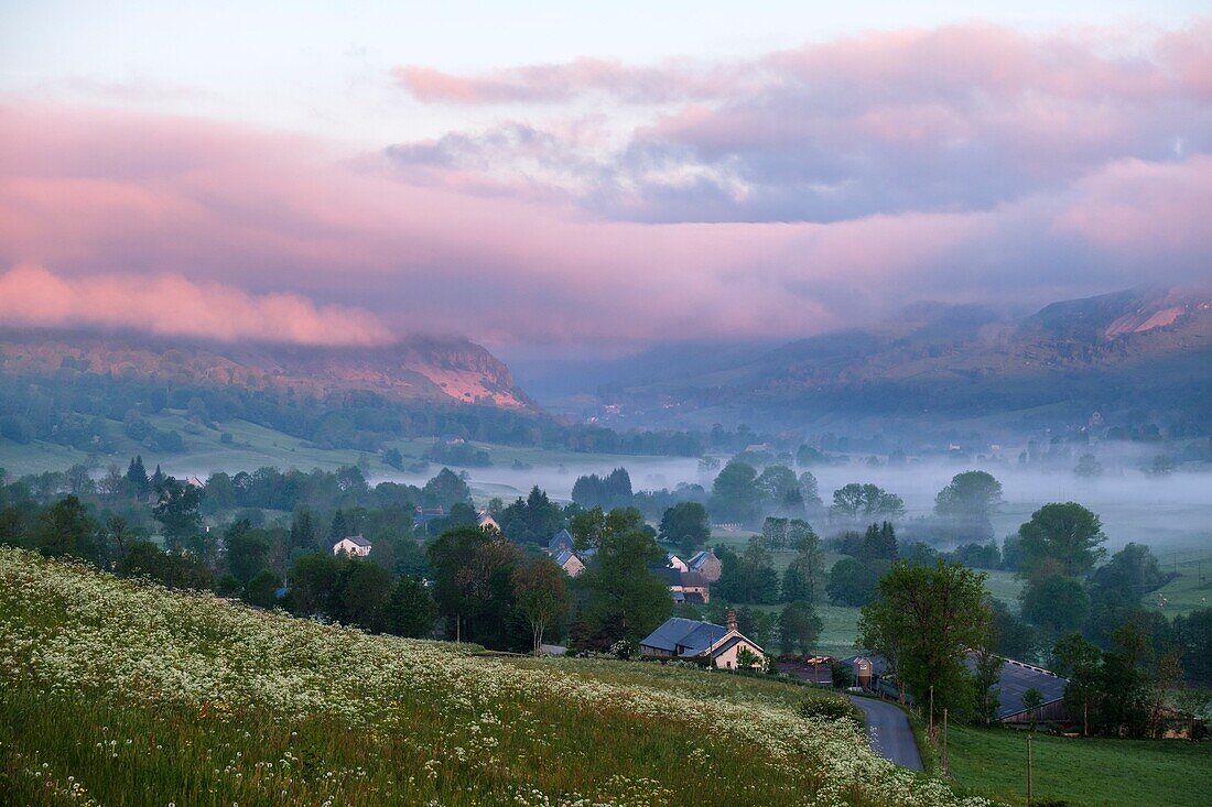 Frankreich,Cantal,Regionaler Naturpark der Vulkane der Auvergne,monts du Cantal Cantal mounts) Santoire-Tal bei Dienne