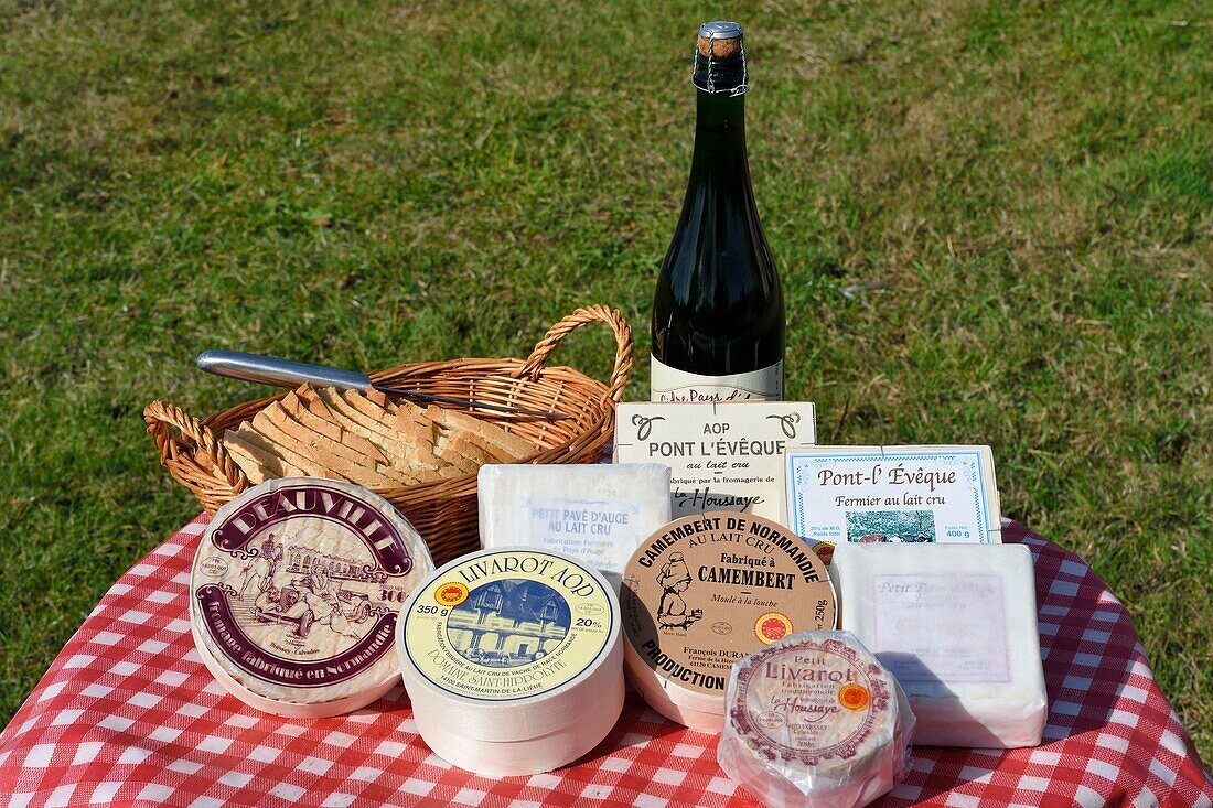 France,Orne,village of Camembert,unpasteurized milk farm-made cheese from Pays d'Auge