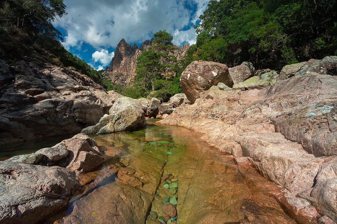 Frankreich,Corse du Sud,Spelunca-Schlucht bei Porto