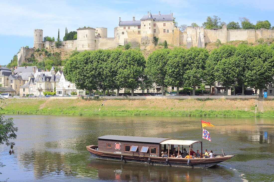 France,Indre et Loire,Loire Valley listed as World Heritage by UNESCO,Chinon,traditional Ligerien boat trip (toue cabanee) on the Vienne river at the foot of the castle