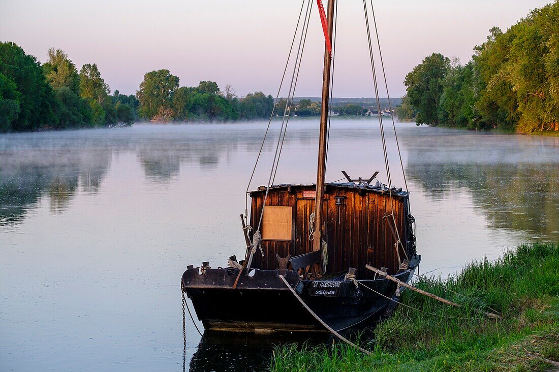 France,Indre et Loire,Loire Valley listed as World Heritage by UNESCO,Chouze sur Loire,the quay along the Loire river,traditional boats of the Loire river