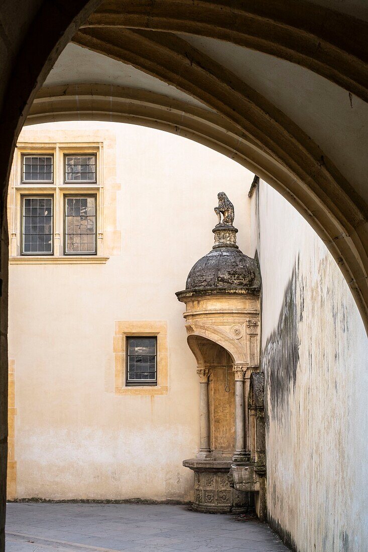 Frankreich,Rhone,Lyon,Altstadt, die zum UNESCO-Weltkulturerbe gehört,Alt-Lyon,Saint-Jean-Viertel,Maison du Chamarier