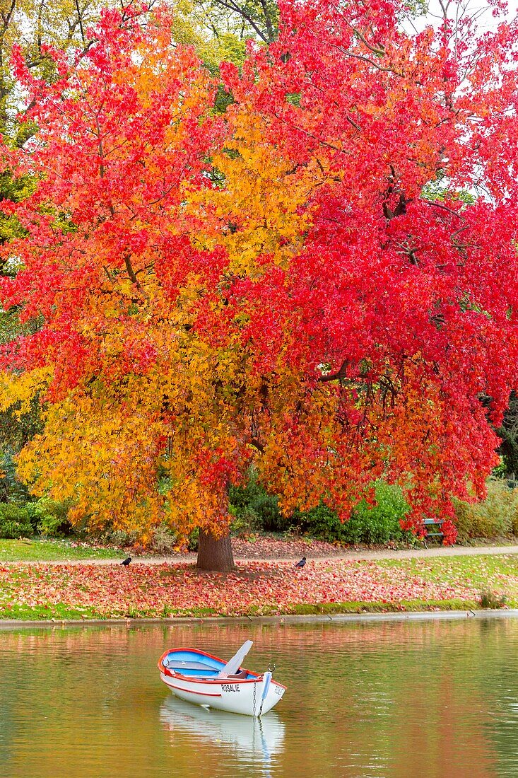 Frankreich,Paris,der Bois de Vincennes im Herbst,der Daumesnil-See