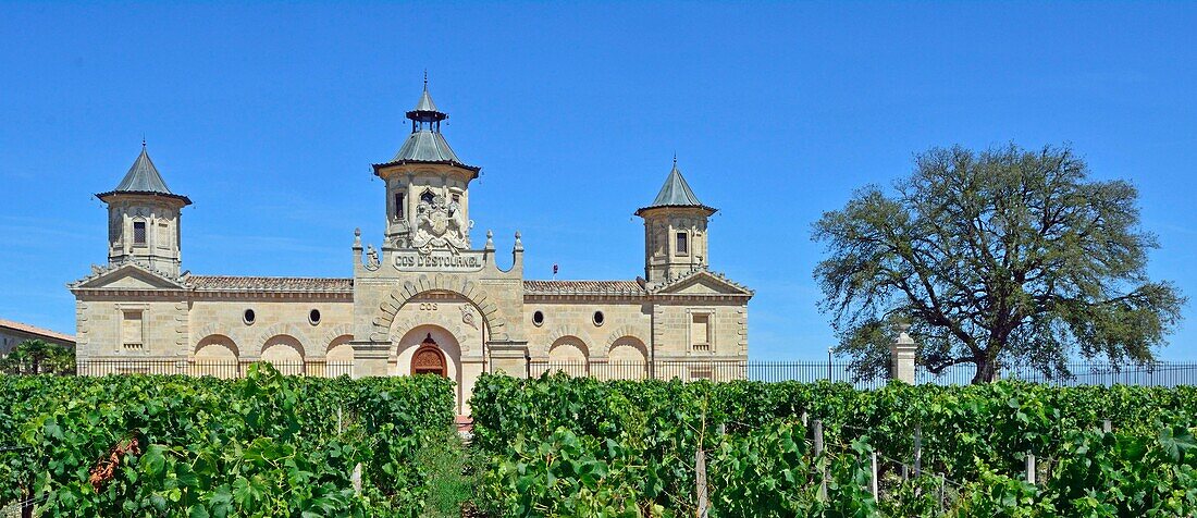 France,Gironde,estuary of the Gironde,St Estephe,Chateau Cos d'Estournel,wine growing estate of the Medoc naming AOC Saint Estephe (Protected Designation of Origin Saint Estephe)