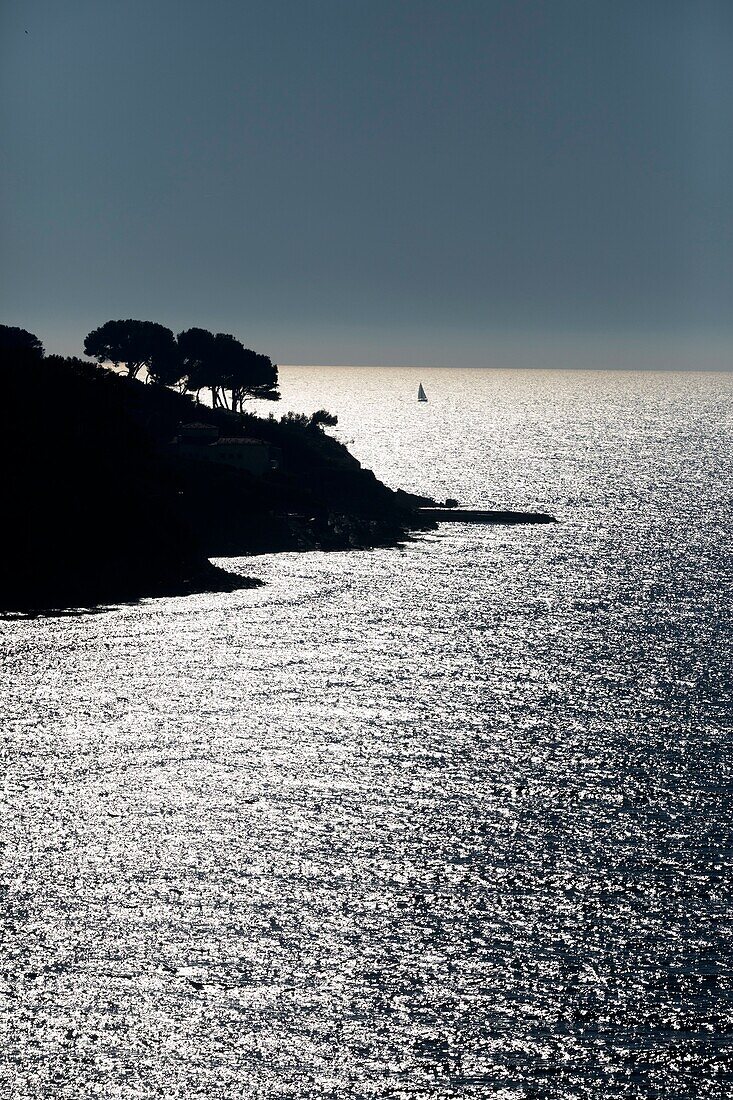 France,Var,Sanary sur Mer,tip of the Tourette,Bay of Bandol