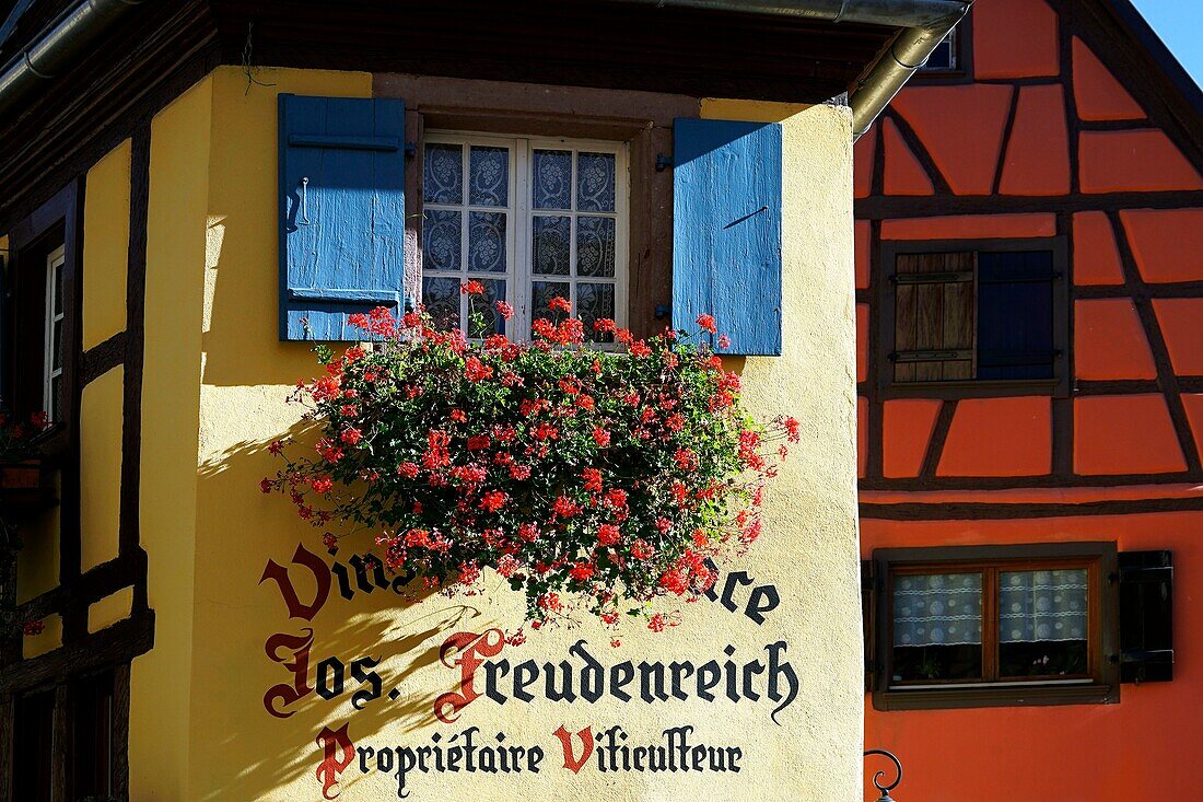 France,Haut Rhin,Eguisheim,houses,typical facades.