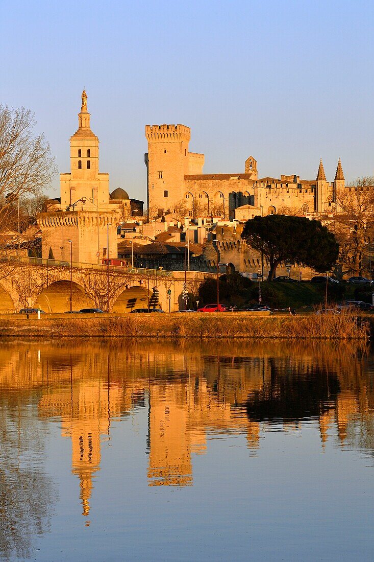 Frankreich,Vaucluse,Avignon,die Rhone mit der Kathedrale von Doms aus dem 12. Jahrhundert und dem Papstpalast, der zum UNESCO-Weltkulturerbe gehört