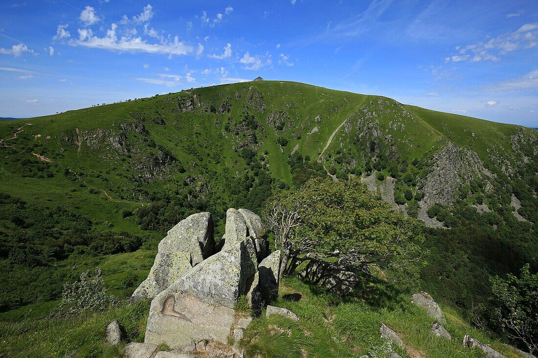 France,Haut Rhin,Hautes Vosges,Le Hohneck,third summit of the Vosges mountains with 1,363 meters of altitude,dominates the line of ridges that separates Alsace from Lorraine