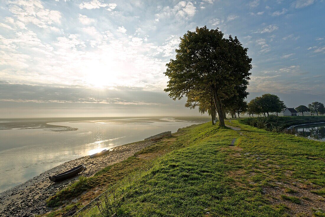 France,Somme,Baie de Somme,Saint Valery sur Somme,mouth of the Somme Bay at low tide