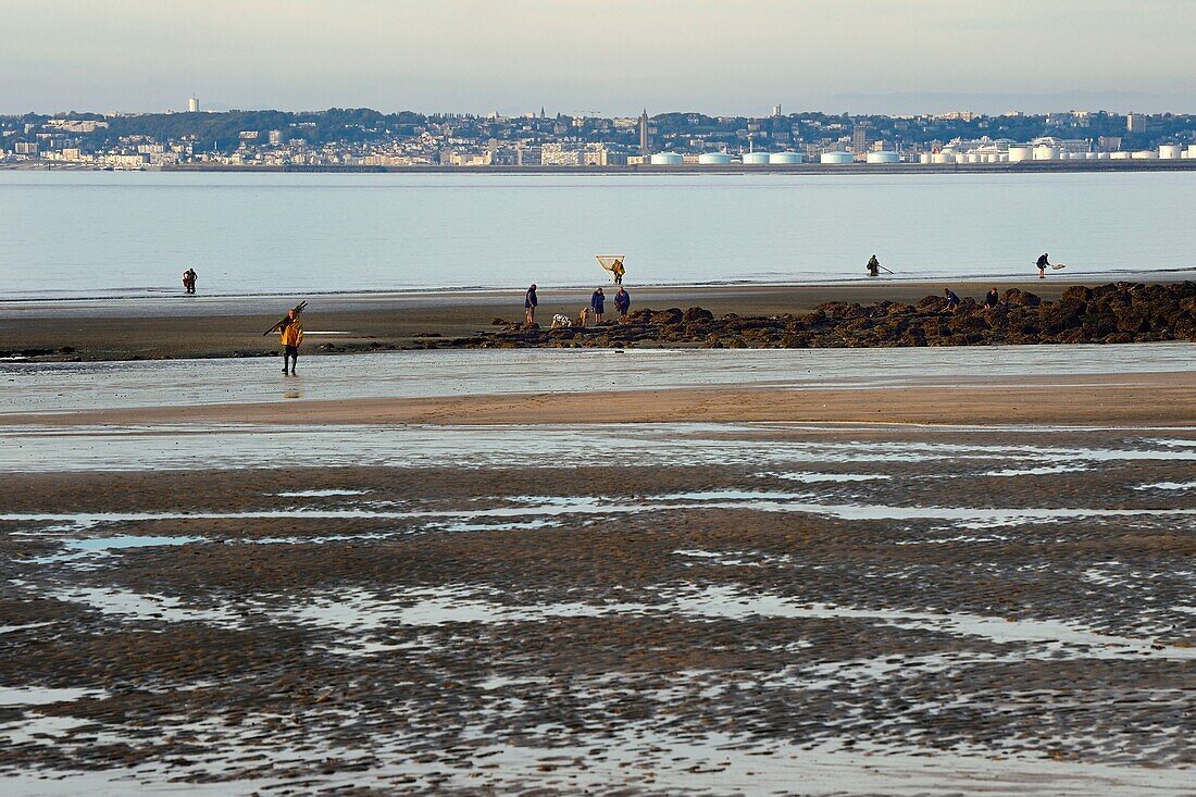 France,Calvados,Pays d'Auge,Trouville sur Mer,the Roches Noires (Black Rocks) beach which extends for several kilometers towards Hennequeville and Villerville,Le Havre port in the background