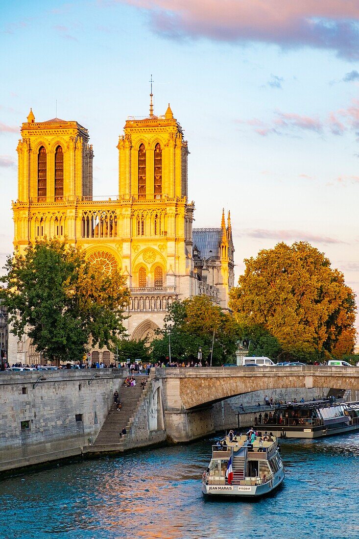 France,Paris,area listed as World Heritage by UNESCO,the Seine,the Ile de la Cite and the Notre Dame cathedral