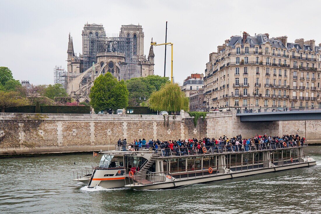 France,Paris,Notre Dame de Paris Cathedral,day after the fire,April 16,2019,cruise ship passing in front of the cathedral