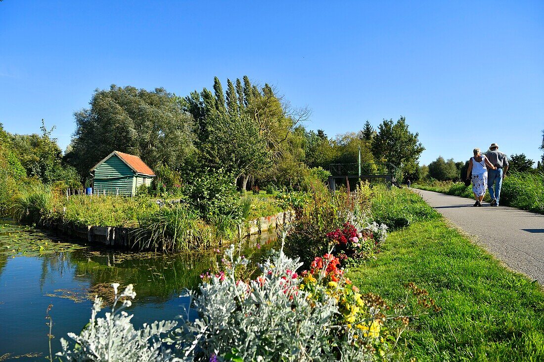 Frankreich,Somme,Amiens,die Hortillonnages sind alte Sümpfe, die aufgefüllt wurden, um ein Mosaik von schwimmenden Gärten zu schaffen, die von Kanälen umgeben sind