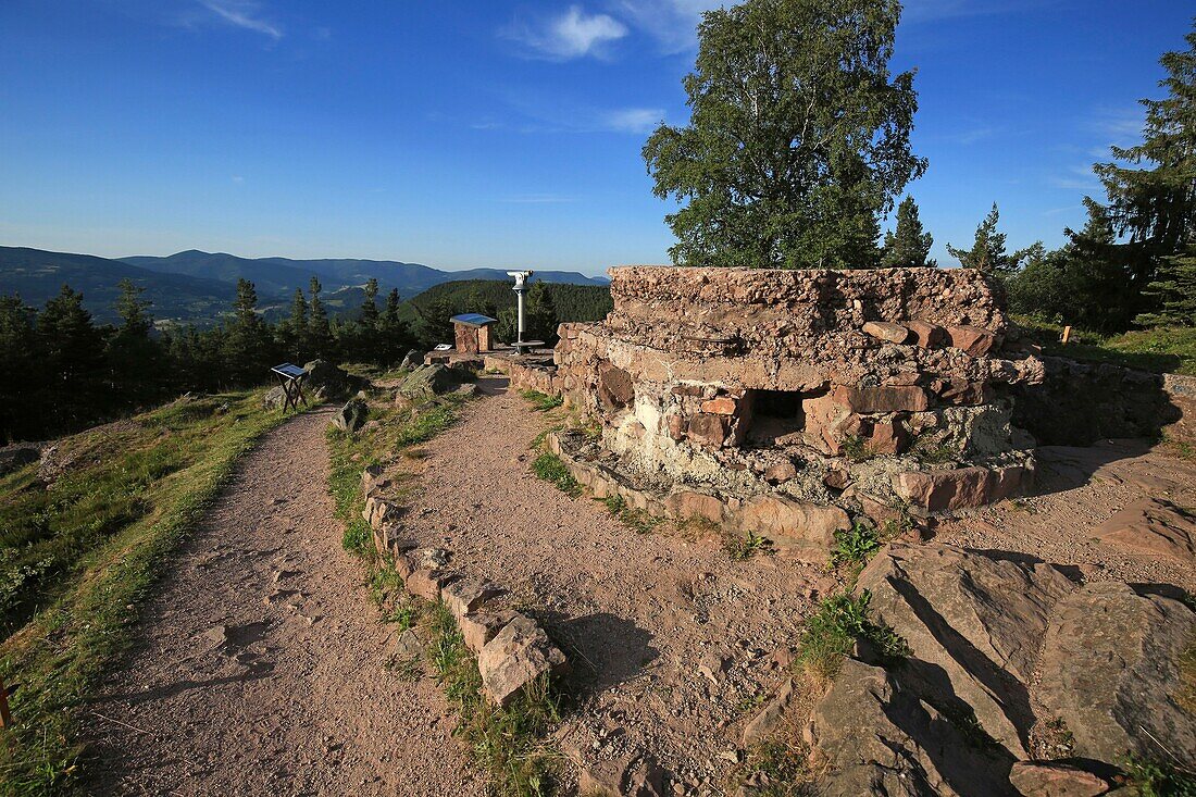 France,Haut Rhin,Vosges Massif,Collet du Linge,entrance to the Linge Memorial Museum,war of 1914 1918,fierce fighting between the valleys of Orbey and Munster