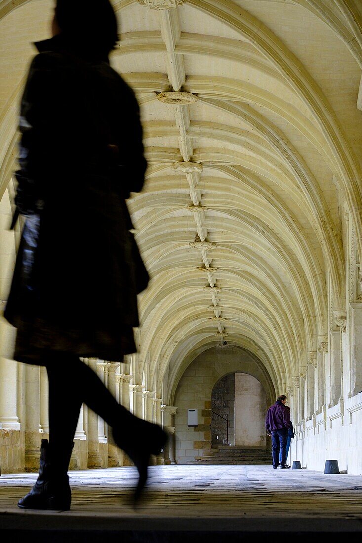 France,Maine et Loire,Fontevraud l'Abbaye,Loire Valley listed as World Heritage by UNESCO,Abbey of Fontevraud,dated 12-17 th century,Cloister Ste Mary or Great Cloister