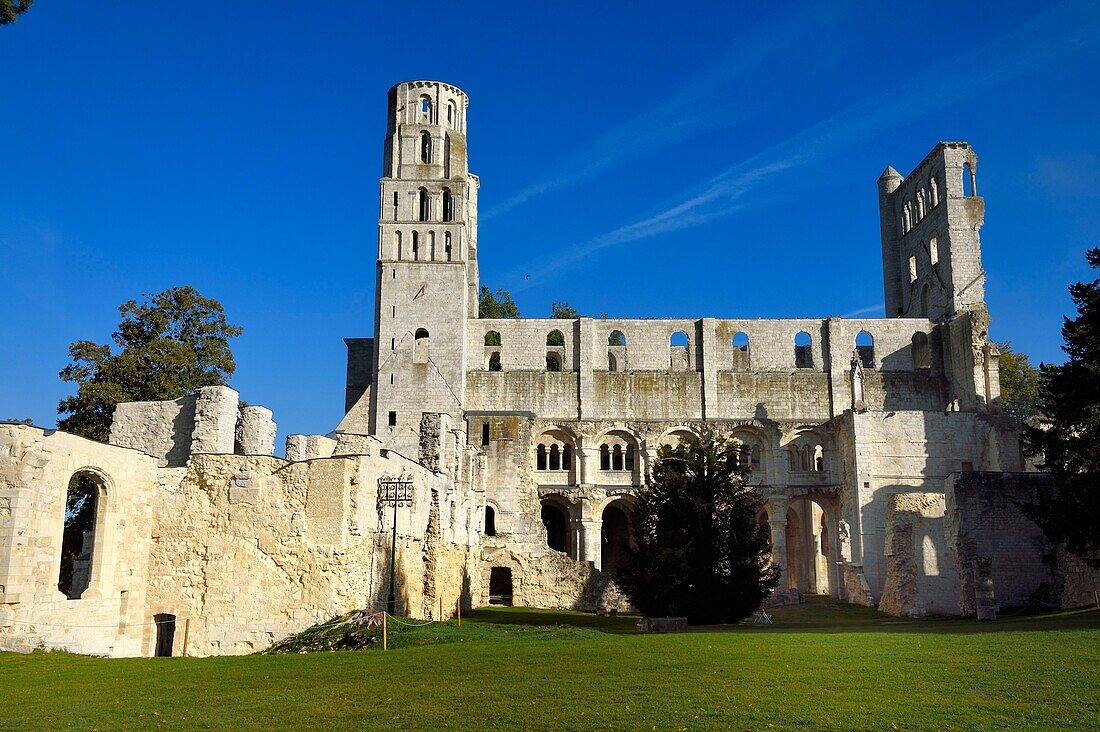 France,Seine-Maritime,France,Seine Maritime,Pays de Caux,Norman Seine River Meanders Regional Nature Park,Jumieges,abbey of Saint Pierre de Jumieges founded in the 7th century