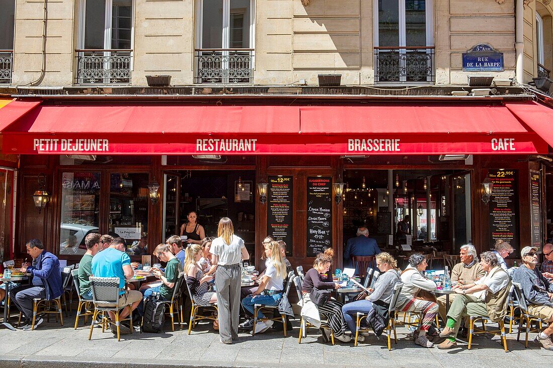 France,Paris,Saint Michel district,cafe
