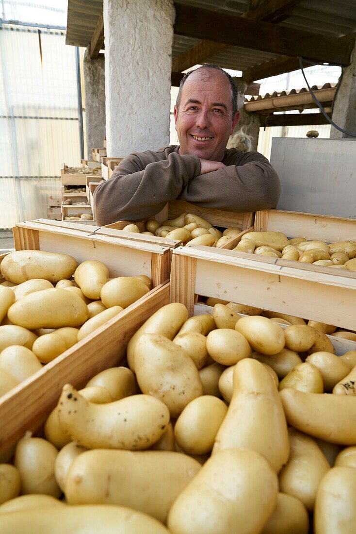 Frankreich,Pyrenees Orientales,Perpignan,SCEA Llyboutry,Gärtner,Porträt des Kartoffelerzeugers Bea Llyboutry Jerôme