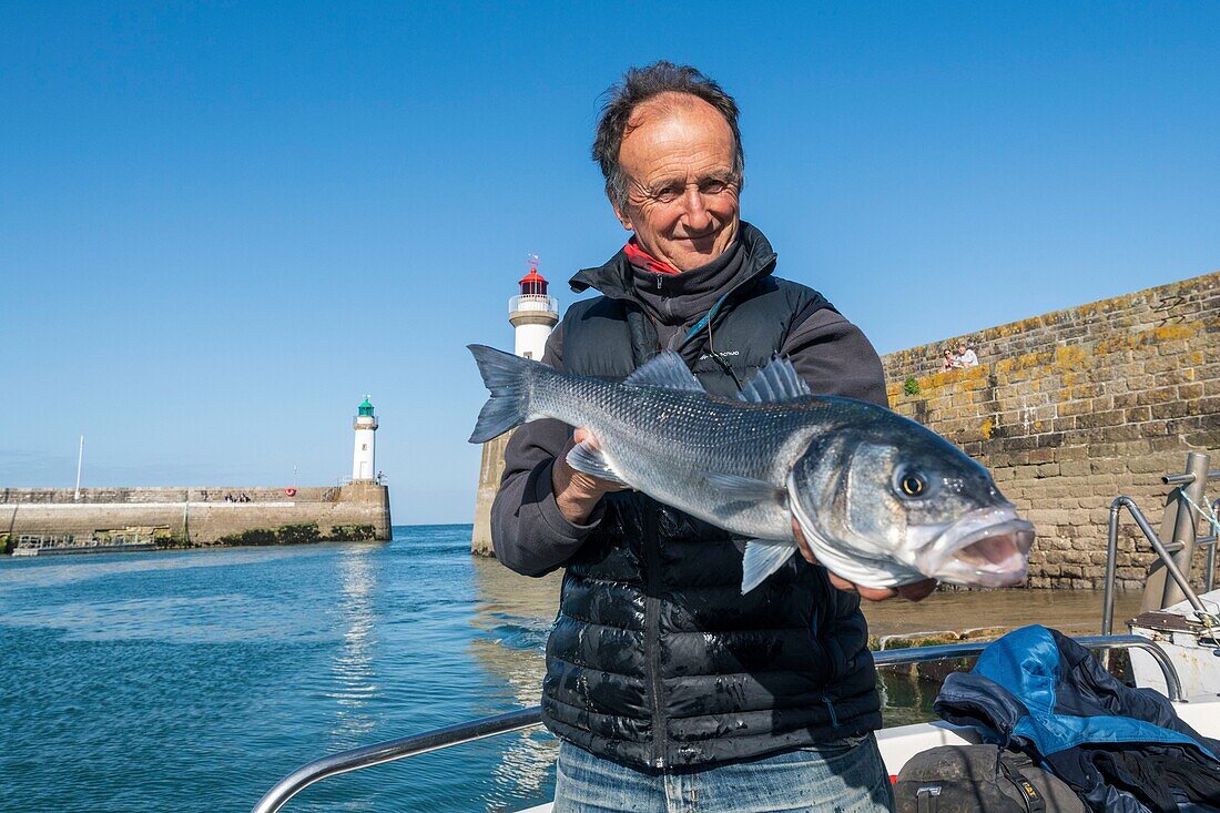 Frankreich,Morbihan,Insel Belle-Ile,le Palais,Angelführer und Ausbilder Arnaud de Wildenberg bei der Rückkehr in den Hafen mit einem Barsch (Dicentrarchus labrax)