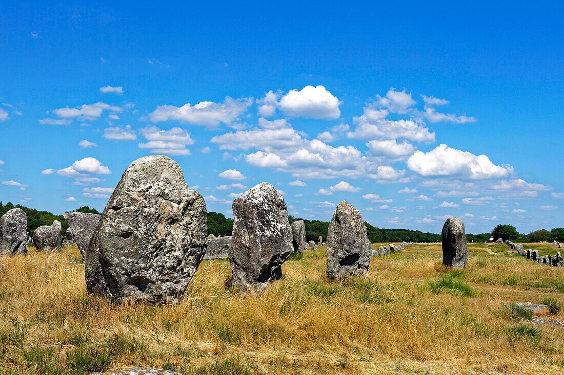 France,Morbihan,Carnac,megalithic site of Menec