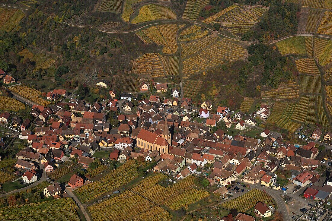 France,Haut Rhin,Niedermorschwihr,Route des Vins d'Alsace,Niedermorschwihr vineyard (aerial view)