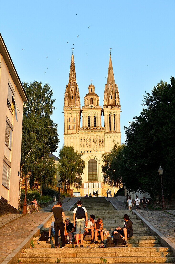 France,Maine et Loire,Angers,Saint Maurice cathedral