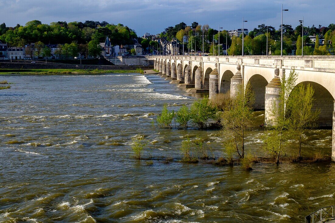 France,Indre et Loire,Loire valley,Tours,the Loire river and the wilson bridge dated 18 th century